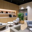 스타카인테리어 이미지