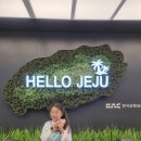 함덕환승정류장(함덕해수욕장) (함덕리 3구방면) | 제주 첫날, 함덕해수욕장 물놀이, 제주짐옮김이 가방을부탁해 덕분이야