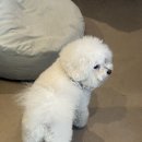 선비꼬마김밥 부천원미점 이미지