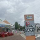 댄.스.로 | “입장료 5천원이라고라?”곡성 장미축제 다녀온 후기🌹