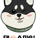 스마일댕댕 이미지