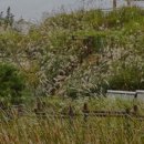 인천도호부관아(재현시설물) 이미지