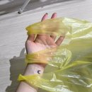 벨루스독 이미지