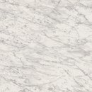 화이트타일(White tile)