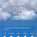 (주)영레이저