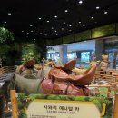 (주)베어비 네이버블로그