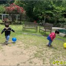 난향동-8 이미지