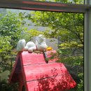 SN박물관 이미지