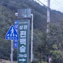 완주 가볼만한곳 공기마을 편백나무숲 상관편백숲 산책 &amp; 타이후 뽕잎짜장