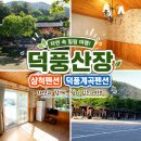 자연휴산장민박 | 삼척펜션 덕풍계곡펜션 덕풍산장 C동 복층 계곡 앞 숙소