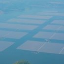 수상에너지태양광발전소 이미지