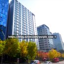 찬스(chance)공인중개사사무소 | 기다려주지 않습니다". 전입신고 가능한 귀한 몸! '어바니엘 가산' 풀옵션 1000/63 입주 찬스 계약후기