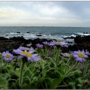 성인여인숙 이미지