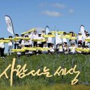 평화로(1) 이미지