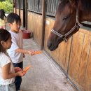 평대초등학교 이미지