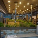 고구려약국 이미지