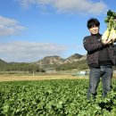 산들바람작목반 영농조합법인 이미지