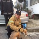 가흥동영주소방서 이미지