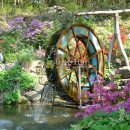 김삿갓면-32 이미지