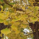 마장3리 이미지