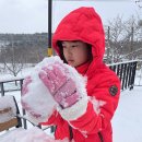 파니퍼니홈 이미지