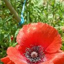 동사무소 앞 이미지