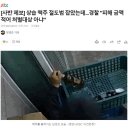 절도범 잡았는데 피해금액 적으니 처벌 안한다며 풀어준 경찰 이미지