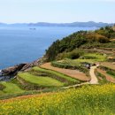 영화목장 이미지