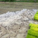 협동조합관악위즐 이미지