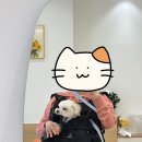 채움 케이크샵 이미지
