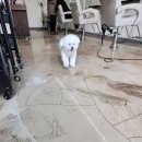 국제머리사랑 이미지