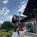 비안단테 이미지