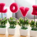 유명갈매기 이미지