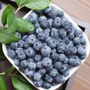 옛날 김밥 이미지