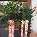 가장맛있는족발(수원호매실점) 이미지