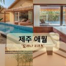 한림읍사무소 | [제주 애월 숙소] 10만원대에 수영장&amp;자쿠지까지? ‘발레나리조트’ 내돈내산 후기!🏠
