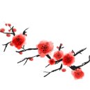 Png / 예쁜 꽃가지 이미지