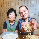 착한콩이야기