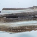 전복총각 이미지