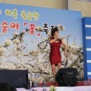 경산 와촌 농협 주관 복숭아꽃 축제 (2009년) 이미지