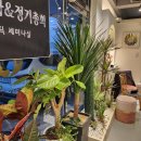 (내돈내산)제천맛집추천-15년경력 요리사출신 사장님이 경영하는 육식청년