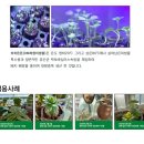 공지로 4L 이미지