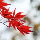 가장 아름다운 노래 (가창) 네이버블로그