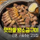 산본로323번길 | 맛찬들왕소금구이 | 산본맛집 회식하기 좋은 구워주는 고기집 내돈내산 후기