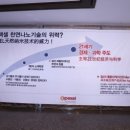 에이펙셀(주)