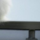 반지한의원 이미지