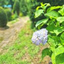 고수족구장 이미지