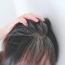 새치 이미지