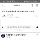 1공병여단 여단장 부조리, 패드립관련 청원 이미지