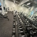 올 마이트 짐 이미지